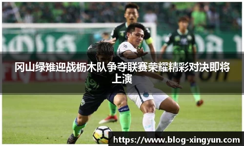 冈山绿雉迎战枥木队争夺联赛荣耀精彩对决即将上演