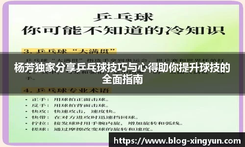 杨芳独家分享乒乓球技巧与心得助你提升球技的全面指南